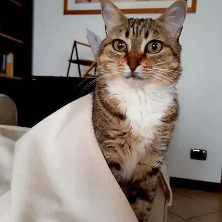 Un Buon Inizio Nocleg ze śniadaniem 3*